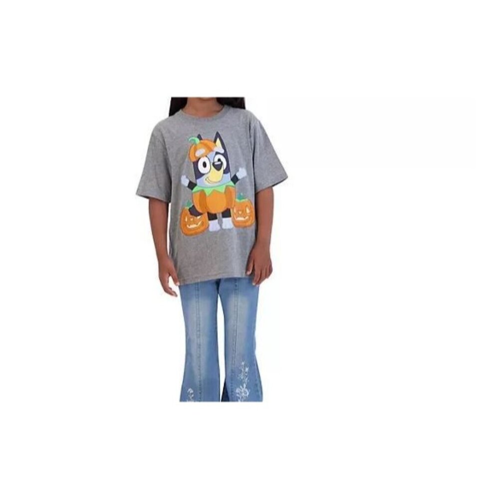 Bluey Unisex Kids NWTPumpkin Halloween Graphic Tee Shirt Size 14/16 Grey